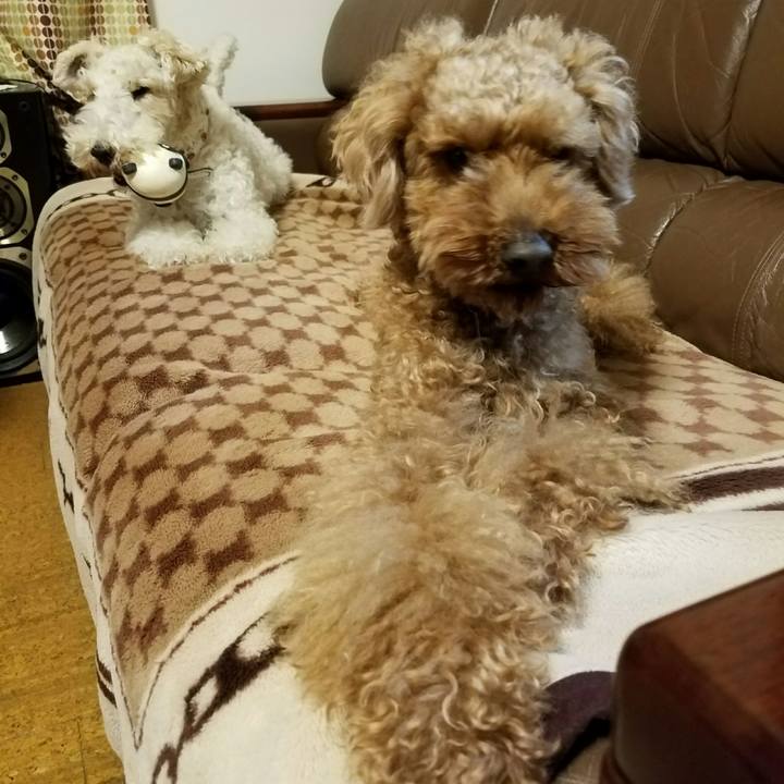 3cb33f12 f03b 4e3d b34c a5bffabf4d5d