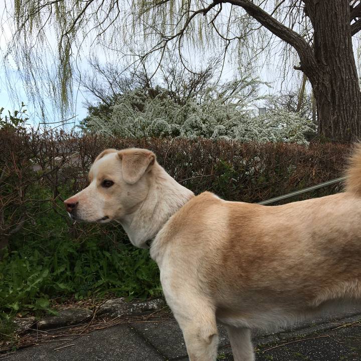 3cb34ef0 db52 4da6 8cd0 e297c705975c