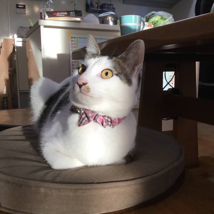 3cb37e7a 5c83 4cc8 9510 b4f645ef3e6e