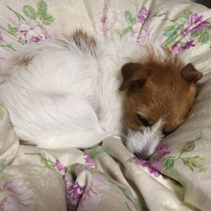 3cb39d8e ef37 427c 8b55 e9f152b297e4