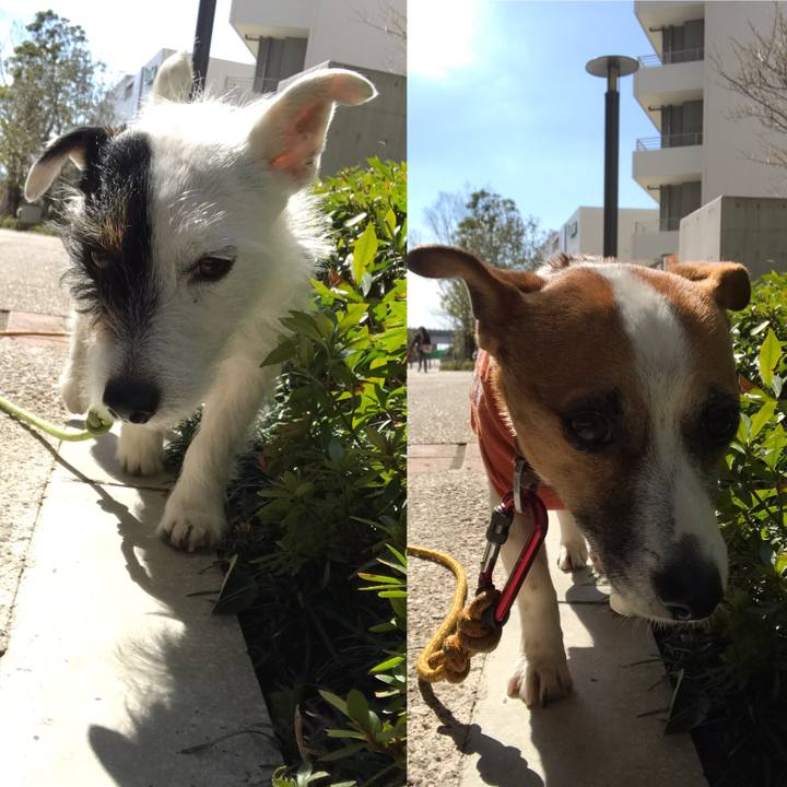 3cb3a1fd 3179 4e8b 8c5d c38249c9a92f