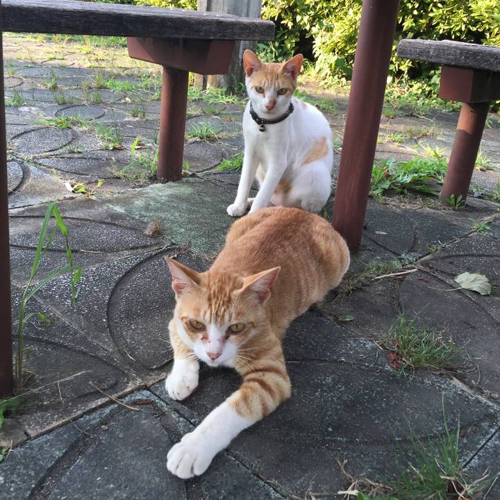 3cb3fde9 0520 43f1 9b5f 6c6ba903d43c