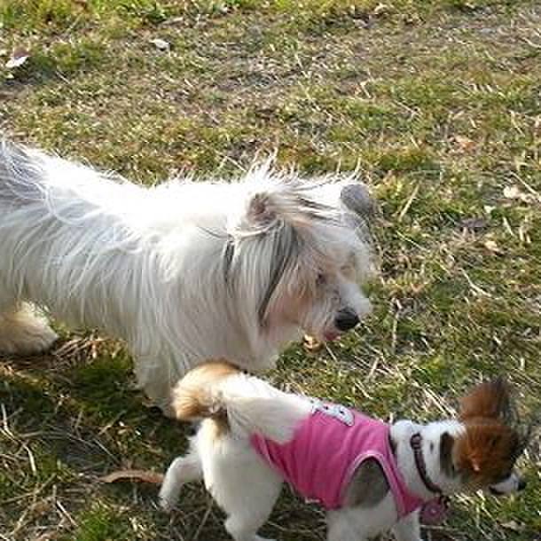 3cb41877 9508 48c6 b78f 0bd09791f08d