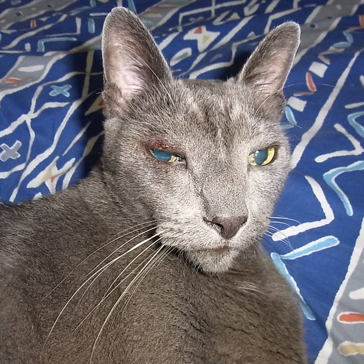 3cb46617 e441 4b77 a517 d03c51b0ce86