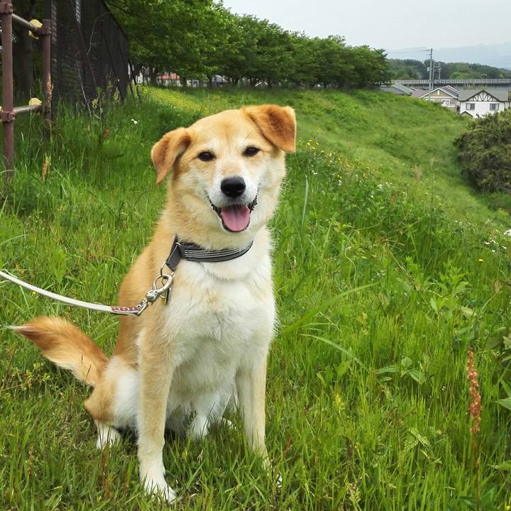 3cb4b239 f4cb 4e01 9232 4e5945e207d4