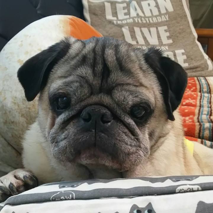 3cb4c948 b030 4549 b654 67a41d740b64