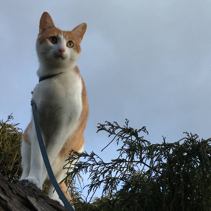 3cb50cf5 3349 4fc8 8e72 1ec68305c31c