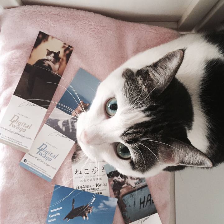 3cb5ac8f 881d 442c a147 d65037d30a81