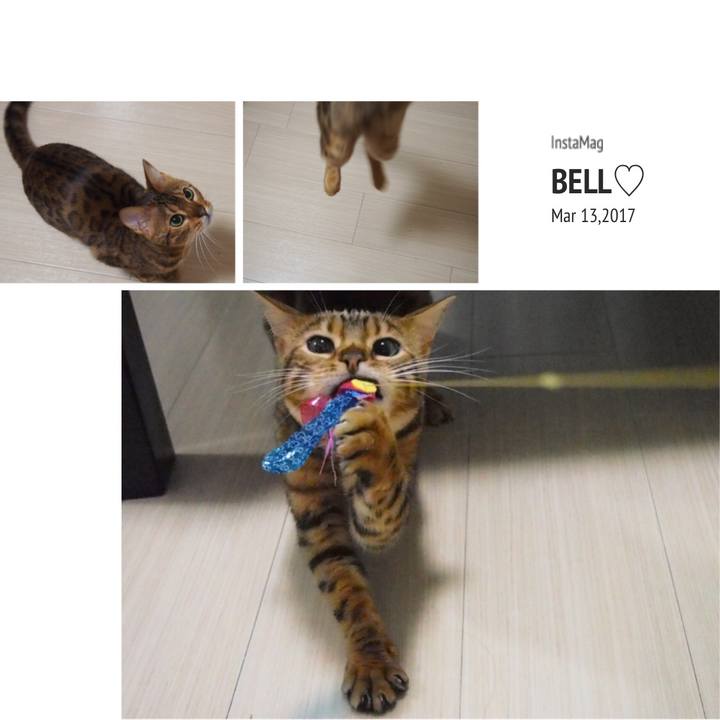 3cb5ba15 6ad0 4c1e b9eb 89ffdb0b920e