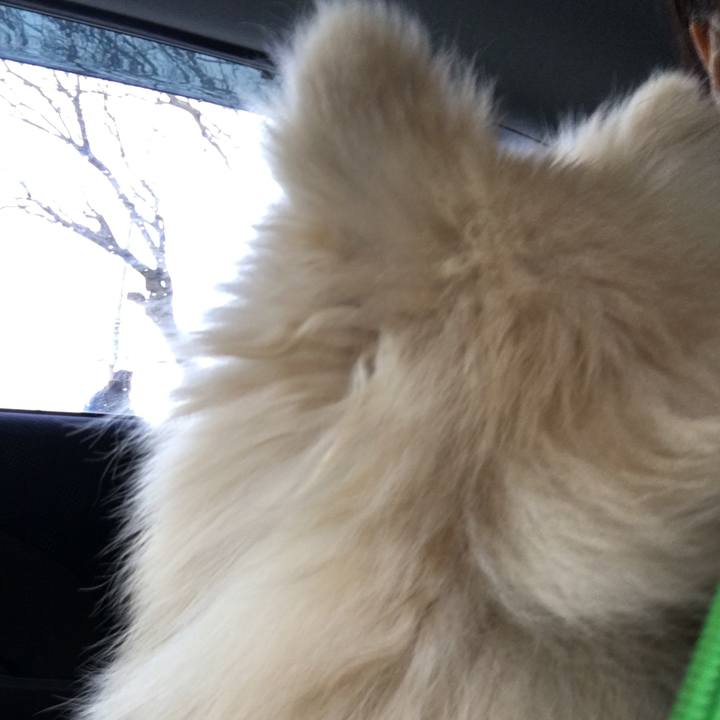 3cb62e96 e0fd 45ea aa55 72aa899431ca