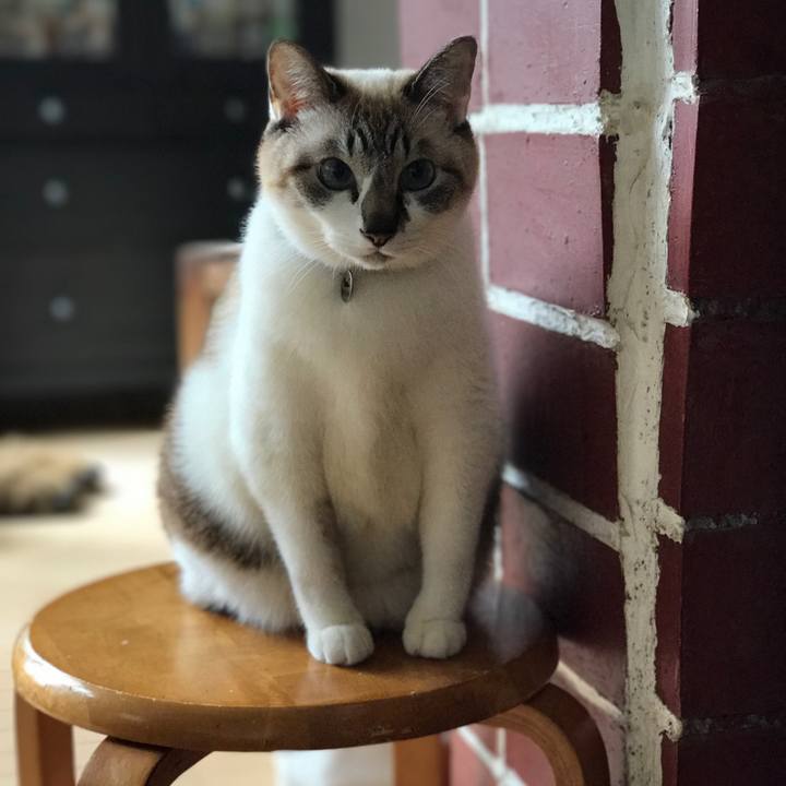 3cb6f3a8 7847 4ef1 b2f9 4a342f74e28c