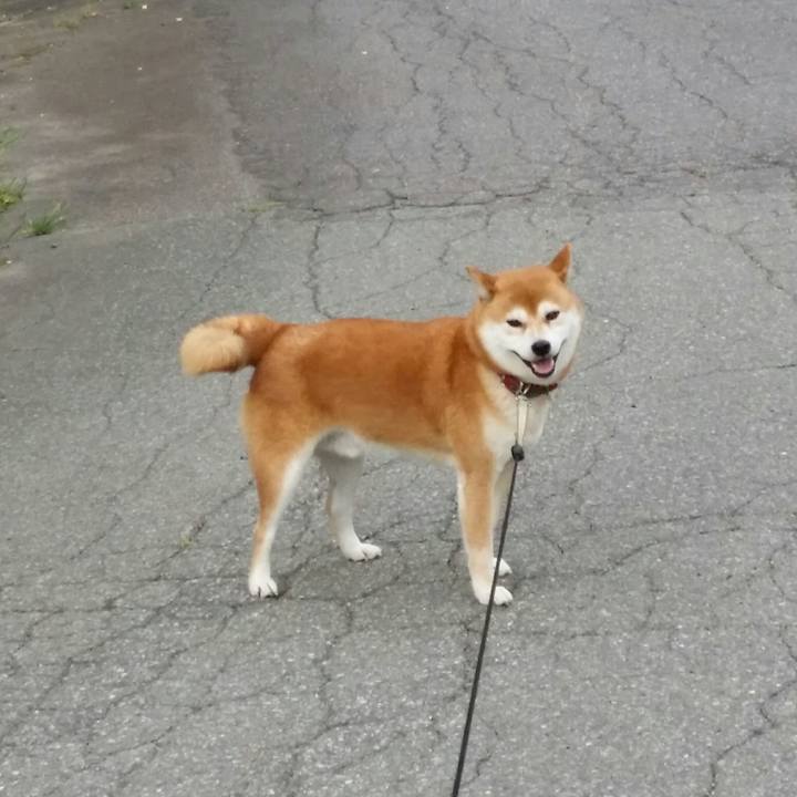 3cb70494 b220 4790 9ec6 4d9356f5473b