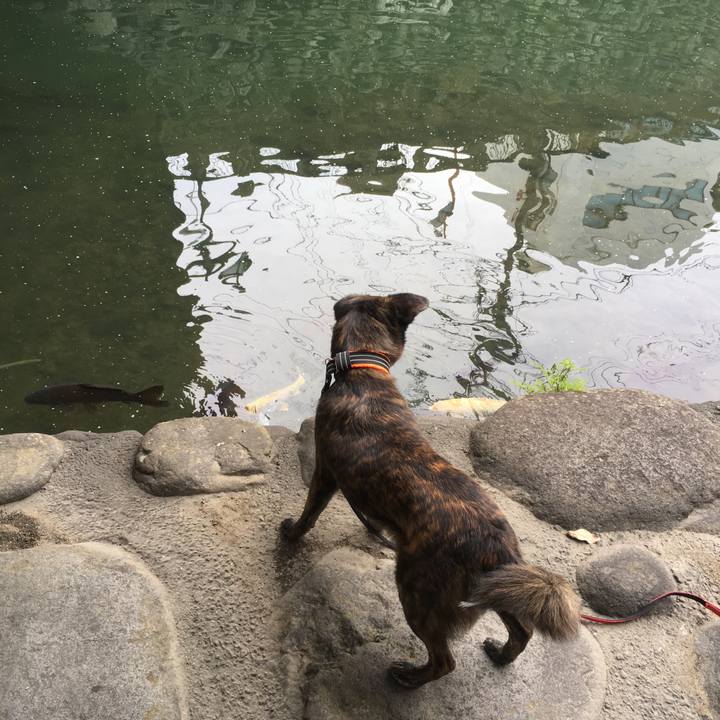 3cb71c41 e163 41c7 9de7 b25e87827484