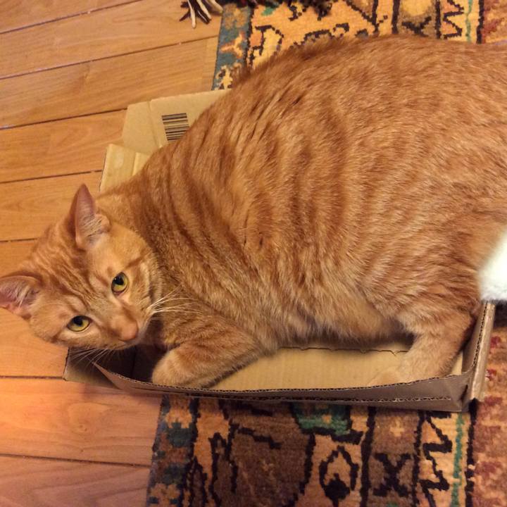 3cb726db 6253 4a9b 8411 ee3f7dca7ae9