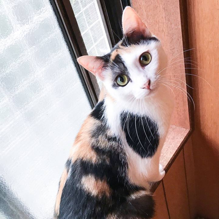 3cb77df1 c41b 4fc6 8374 ff8009dc743c