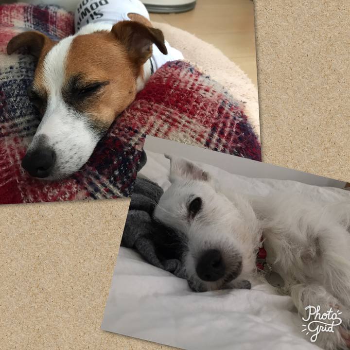 3cb78cad 2baf 4919 bc29 4af00c1750eb