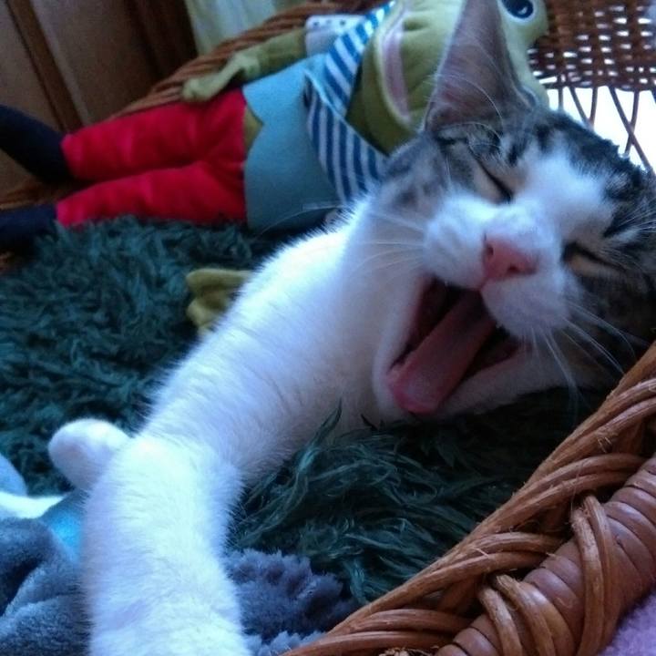 3cb7dd8e b236 4e3b bff0 c432eaea4320