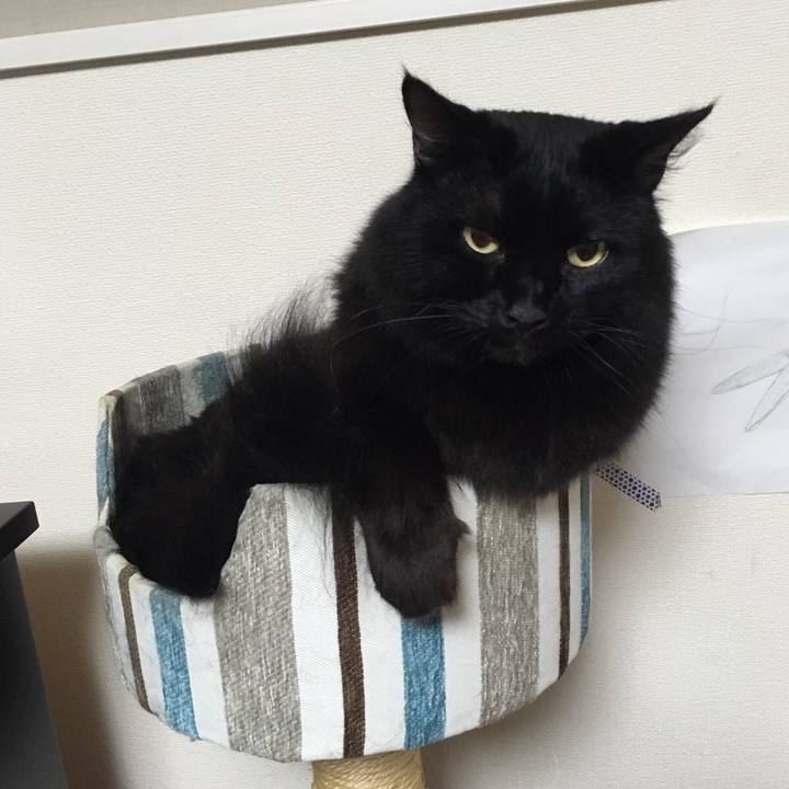 3cb7f796 0d7a 405e bf5c 1d2141c8d0e3