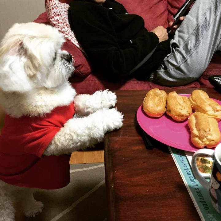 3cb82f63 a5b4 4578 9a76 8a17aa04a1c4