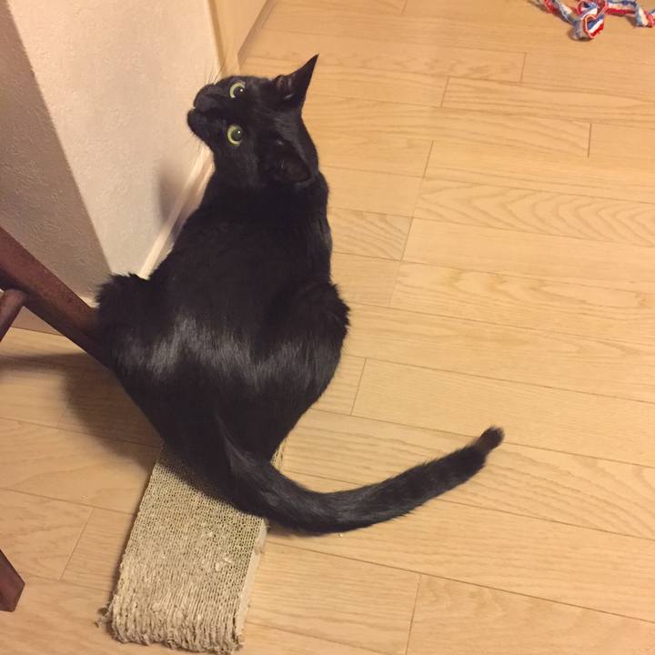 3cb8c8be 2d3e 49b6 b104 0a52e3994e19