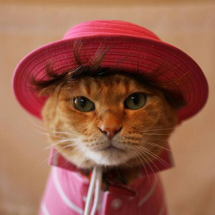 3cb8d82e da72 4272 850d 25a06804fc91