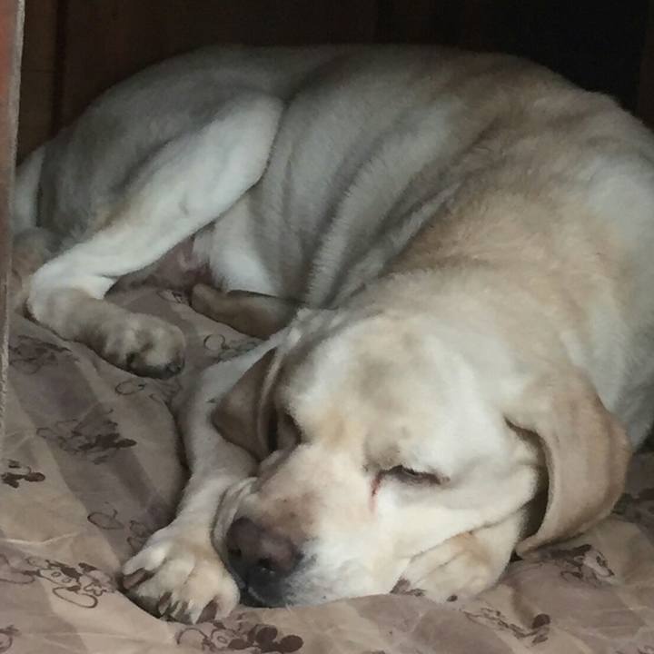 3cb8e0a1 bb9e 492b 8074 6afb22c2636a