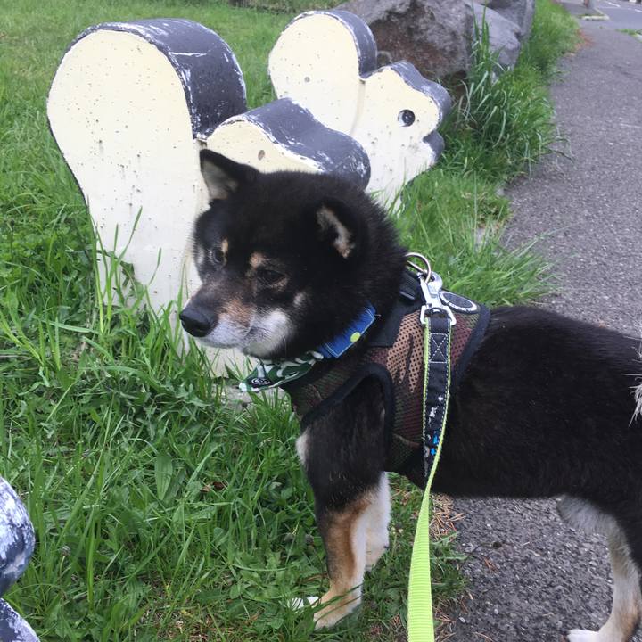 3cb9a45b cd61 4a1d a9ee 7857850e9a33