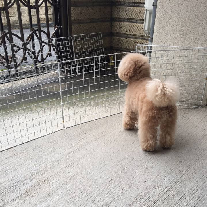 3cbb8009 d073 4e90 b689 2298860414ed