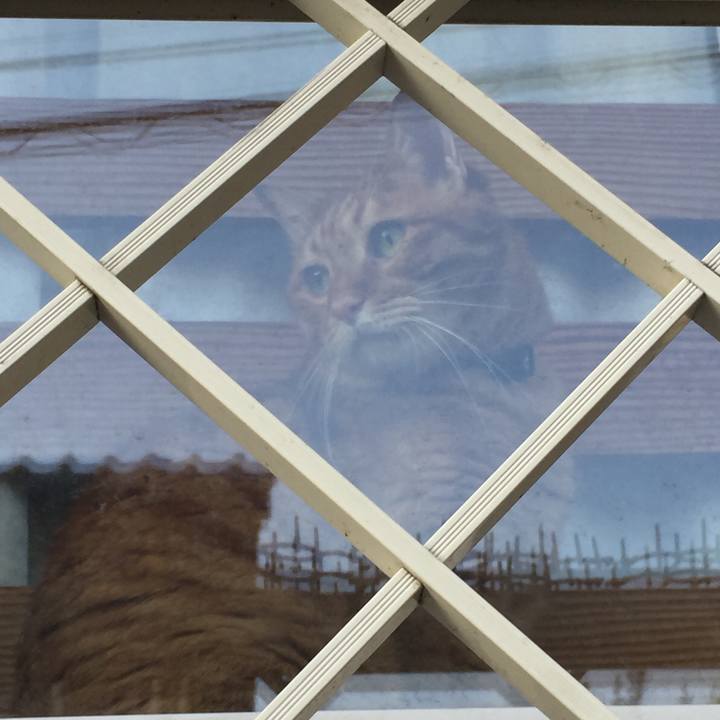 3cbba995 5310 48d1 8dab 7096c747e1ac