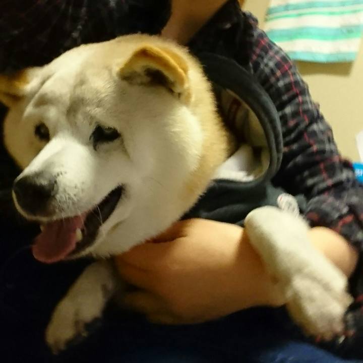 3cbba99b 69bb 4f12 af88 4b029bfd484d