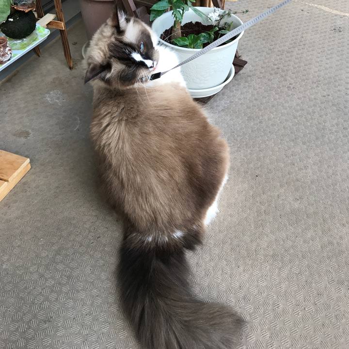 3cbc8d35 0f4e 4b11 8595 b4dfec876301