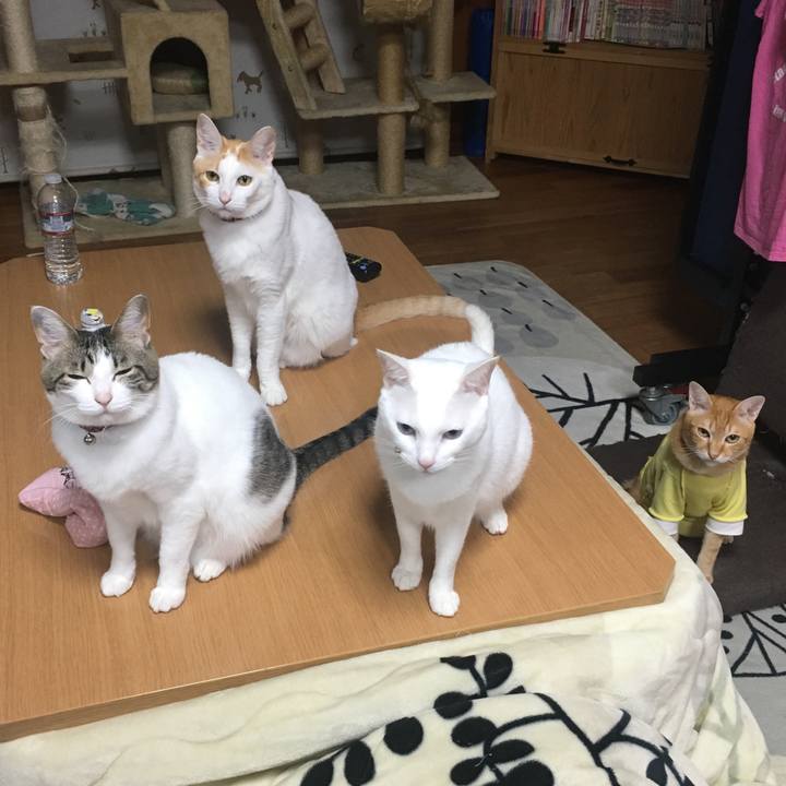 3cbca89e 2418 4b6e 96f9 60d8ccef7a14