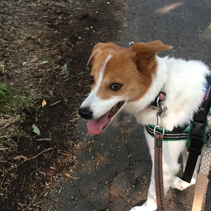 3cbdc0aa def2 41ba 9338 c0ba285770de