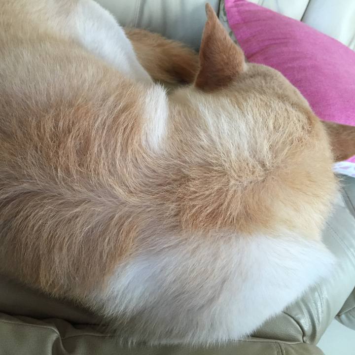 3cbde621 8ed6 4991 bc68 66439729892f