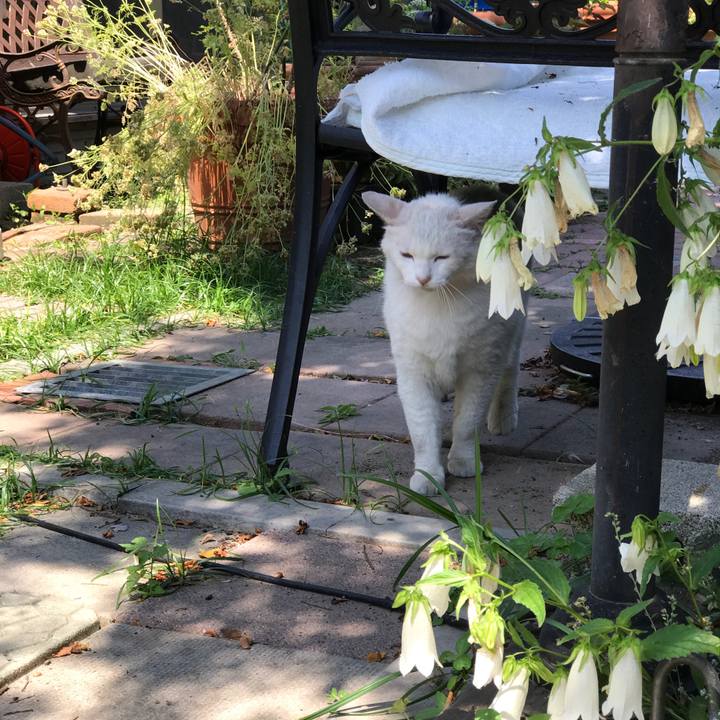 3cbe21a6 8561 47ca 936a 9ef08c0b0217