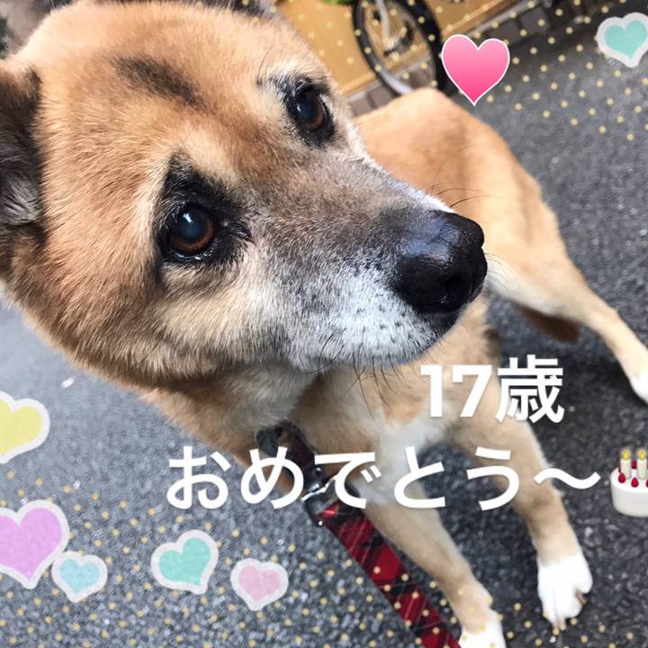 3cbe3613 d59e 43e0 a050 f793023b9251