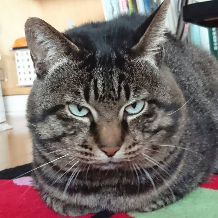 3cbe53a8 4de2 40f7 bf20 cbd53058956d