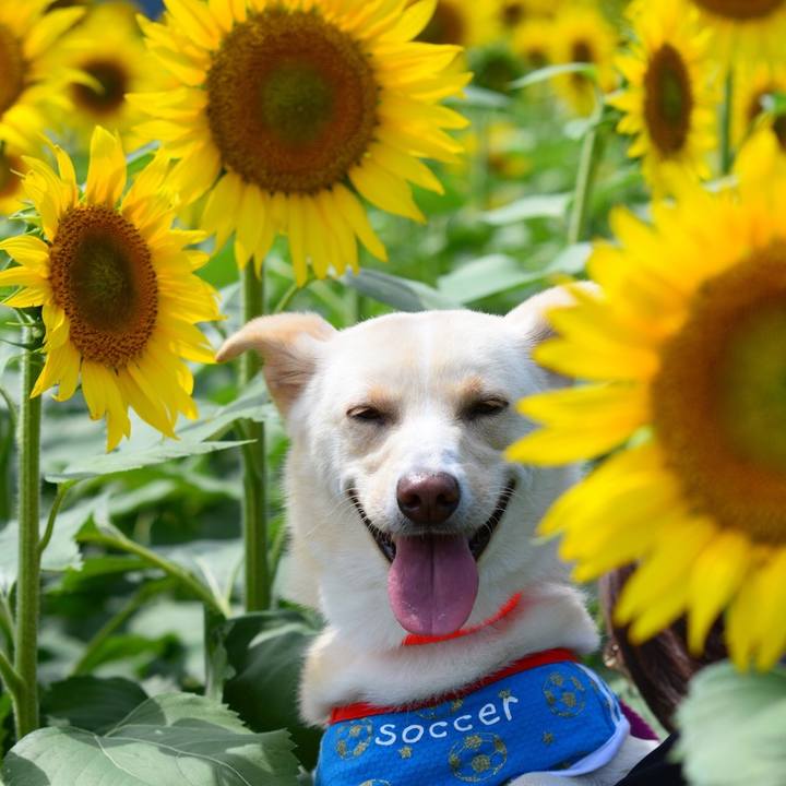 3cbee02a 2979 4ba4 aa7a 127ae2f65c3d