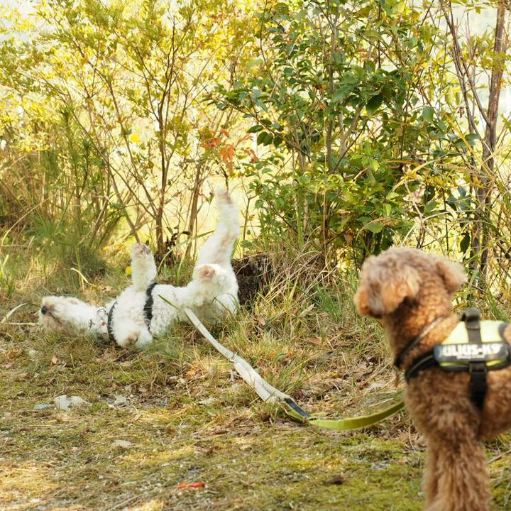 3cbf3e37 ac56 4aa2 b7c0 dd00367cc0d8