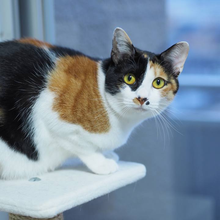 3cc005eb cd29 40a6 bd0d ebfe086c3f83