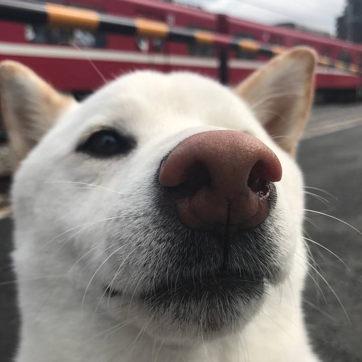 3cc014b3 ab6e 46f9 93db 47a896d15da8