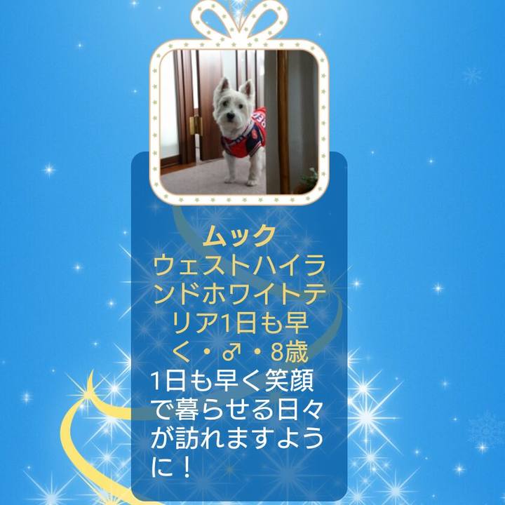 3cc07029 ffb3 4ab5 b638 3d2dfa30218e