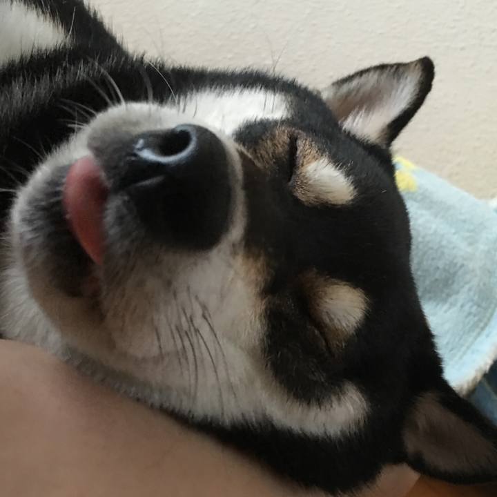 3cc0866c e297 4d2b 831b aa5100adbad6