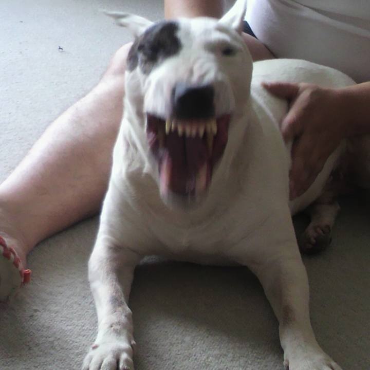 3cc09906 0131 47b2 afa0 003a9f7ed59e