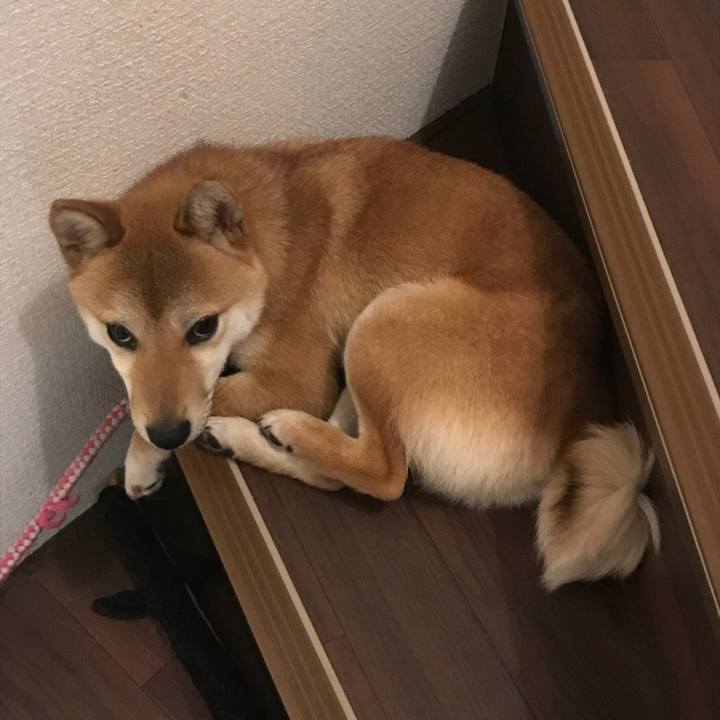 3cc0be69 4f34 4e26 b9c1 4019e8d53cd1