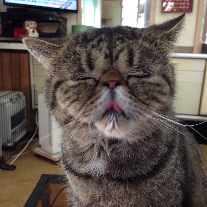 3cc0c3e4 74b1 4ed5 8090 8c1973150afe