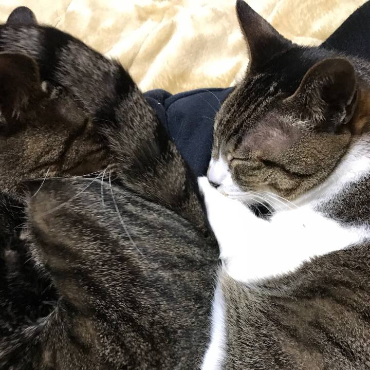 3cc0ee1d 0b89 4dbc b6ff d2502bb23c5e