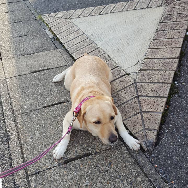 3cc12602 5e77 4026 8c55 a4e558c71977