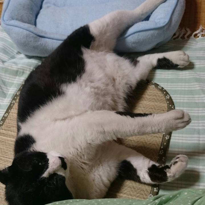 3cc1fc74 9a1c 4508 9769 edc57e0c71f0