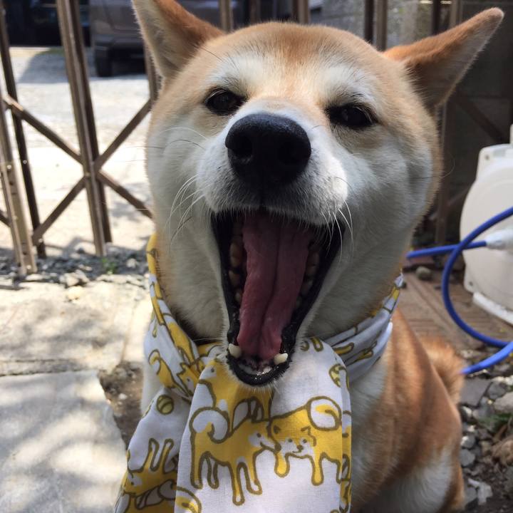 3cc2adb0 2089 499f 959b 51f59b89711b